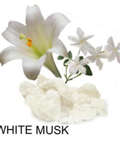White Musk Bild Duftbeschreibung 300x300px